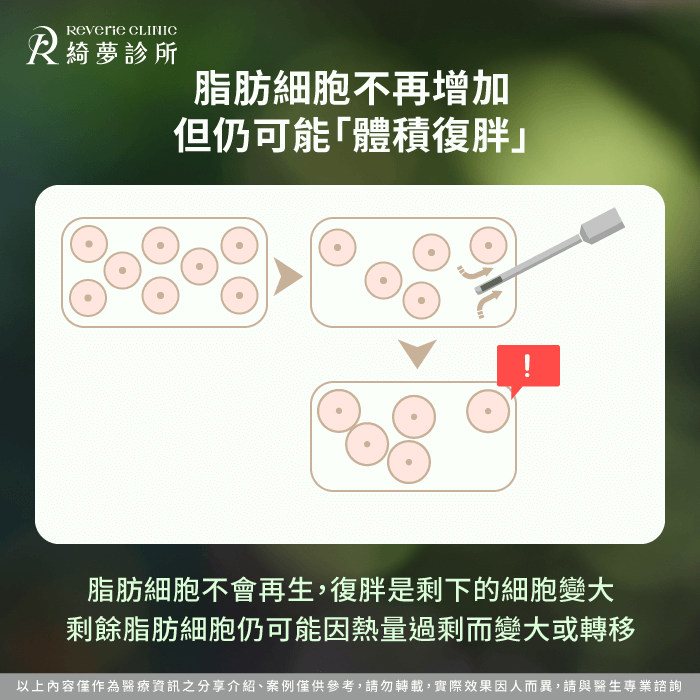 脂肪細胞與復胖機制-抽脂會復胖嗎